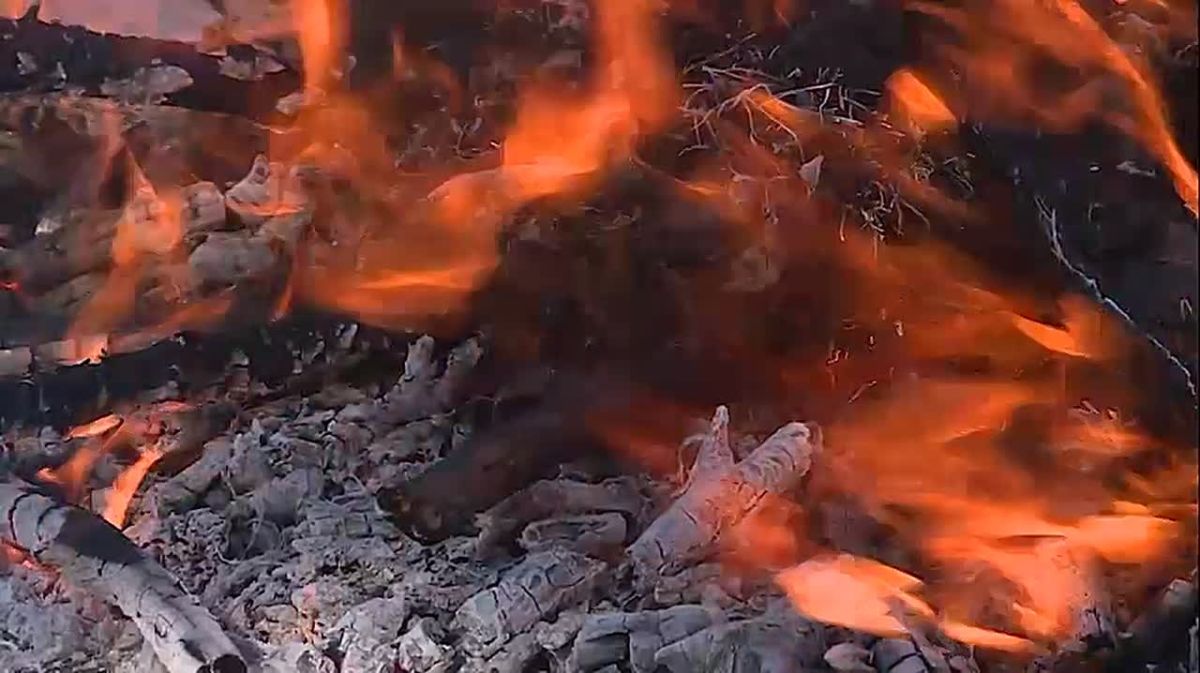 Дежурная часть Вести Крым: выпуск 22.06.2026