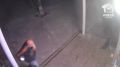 Живодёр из Медведевки отдал котёнка на растерзание своей собаке