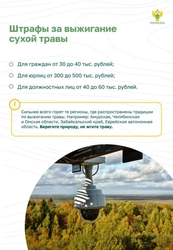 Памятка о правилах пожарной безопасности в лесу Памятка о правилах пожарной безопасности в лесу