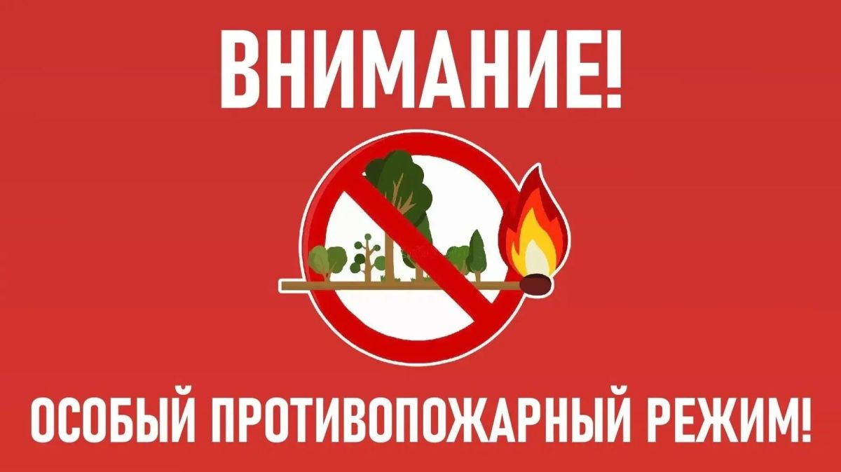 С сегодняшнего дня в Крыму введен особый противопожарный режим