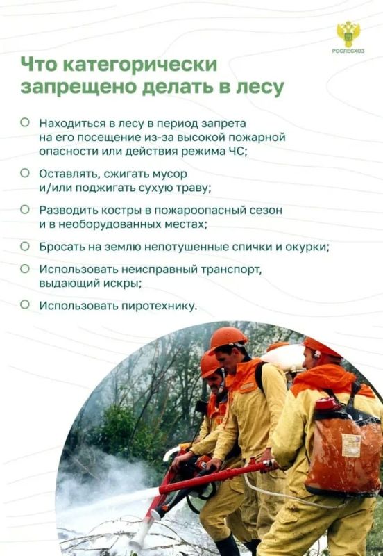 Памятка о правилах пожарной безопасности в лесу Памятка о правилах пожарной безопасности в лесу