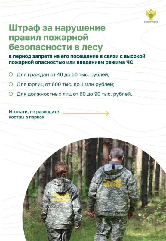 Памятка о правилах пожарной безопасности в лесу Памятка о правилах пожарной безопасности в лесу
