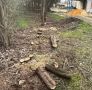 Жителя Советского района осудили за незаконную вырубку деревьев в селе Заветное