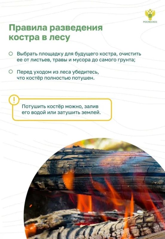 Памятка о правилах пожарной безопасности в лесу Памятка о правилах пожарной безопасности в лесу