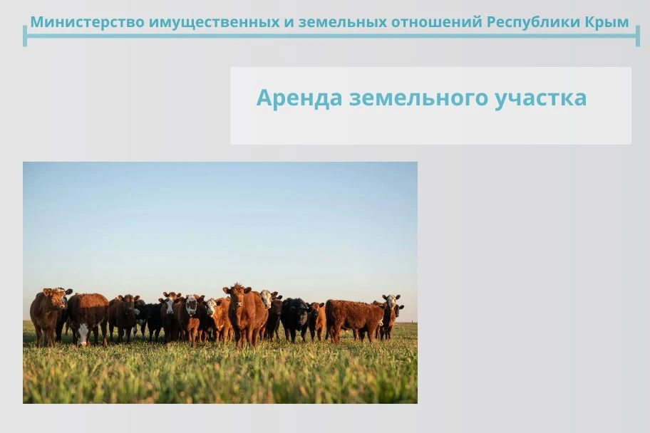Фермеры могут взять в аренду земельный участок в Первомайском районе для выпаса сельскохозяйственных животных