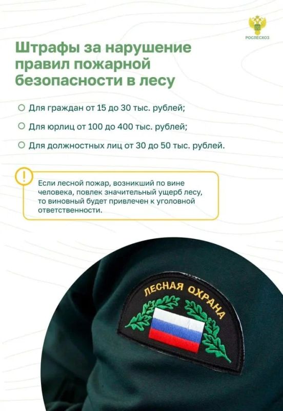 Памятка о правилах пожарной безопасности в лесу Памятка о правилах пожарной безопасности в лесу