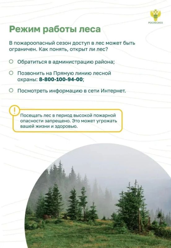 Памятка о правилах пожарной безопасности в лесу Памятка о правилах пожарной безопасности в лесу