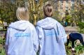133 тысячи крымчан приняли участие во Всероссийском голосовании за объекты благоустройства