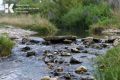 Несмотря на дожди, водность большинства рек в течение июня продолжала снижаться