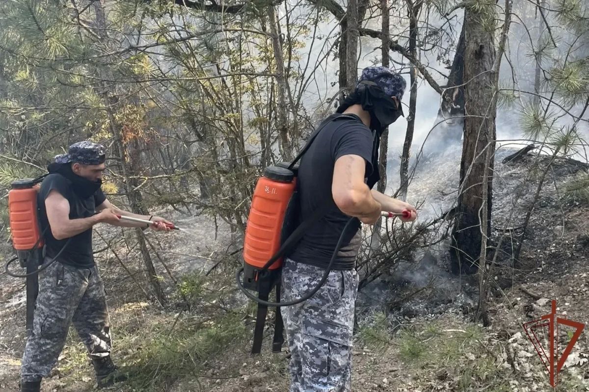 Севастопольский полк Южного округа Росгвардии принимает участие в ликвидации крупного лесного пожара