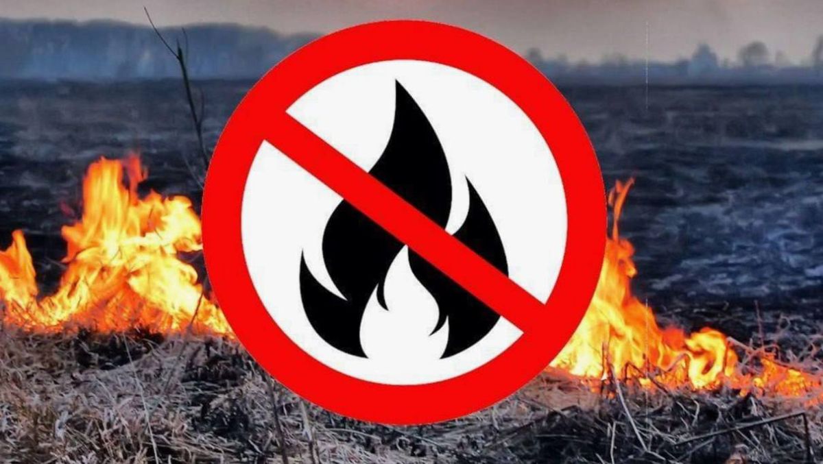Минсельхоз Крыма напоминает об особом противопожарном режиме!