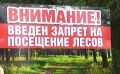 Леса Крыма закрыты для посещения