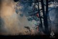 Восемь возгораний сухой травы и леса тушили сегодня в Севастополе