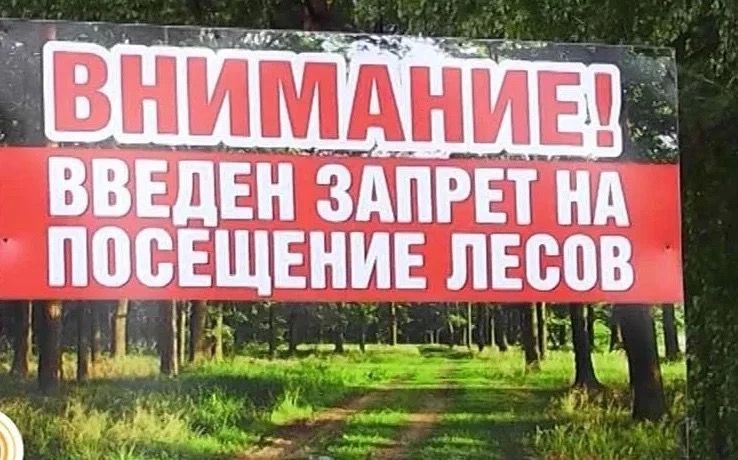 Леса Крыма закрыты для посещения