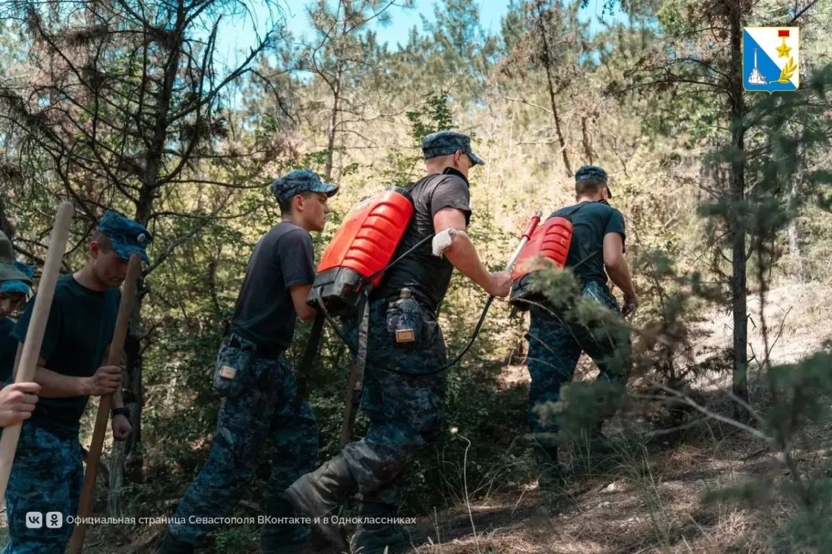 В Севастополе локализовали лесной пожар В Севастополе локализовали лесной пожар