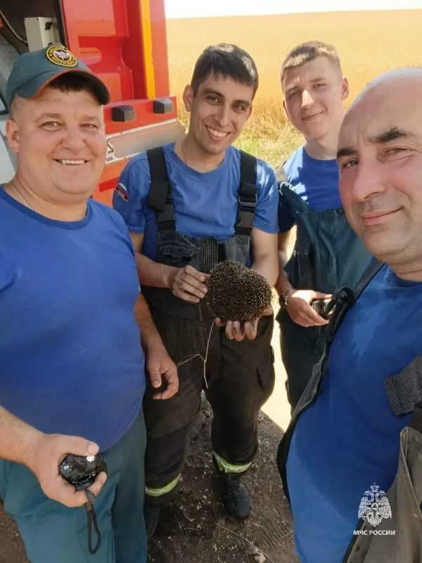 На пожаре под Симферополем спасли ежика