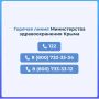 Иван Кошель: Телефоны «горячей линии» Министерства здравоохранения Республики Крым: