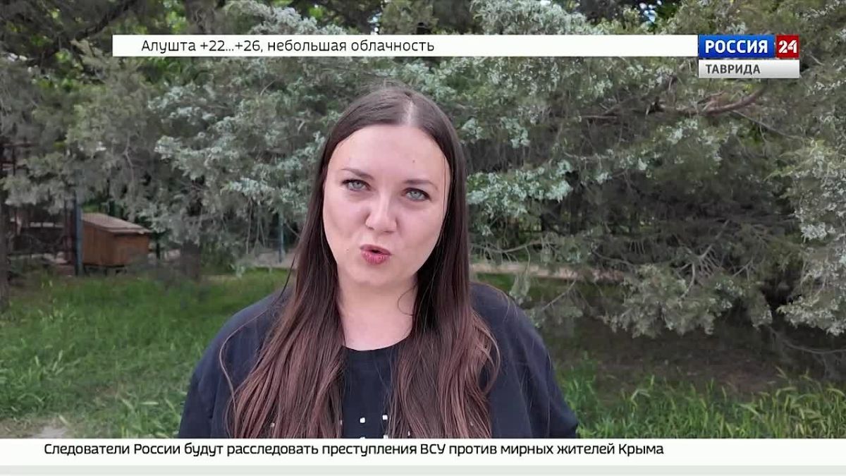 Волонтёры Народного фронта РК и Международного детского центра «Артек» передали крымским бойцам на фронт мощный генератор