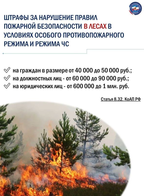 МЧС Республики Крым напоминает о том, что с 24 июня 2026 года на территории полуострова установлен особый противопожарный режим МЧС Республики Крым напоминает о том, что с 24 июня 2026 года на территории полуострова установлен особый противопожарный режим