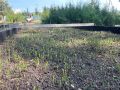 Природа – сильная и хрупкая одновременно