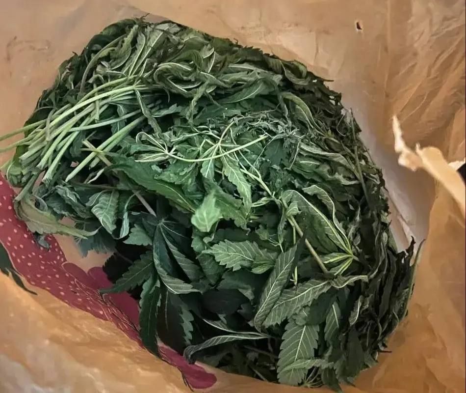 Прямой диалог. В Симферополе после обращения на прием к прокурору Крыма прокуратура добивается проведения ремонта в многоквартирном доме
