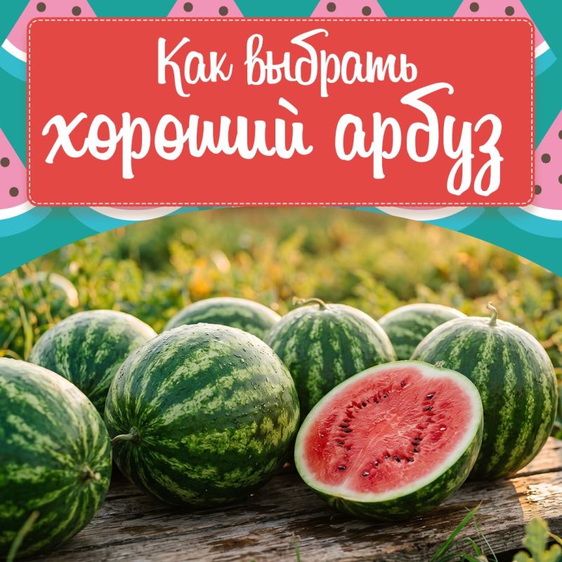 В Крыму стартует арбузный сезон