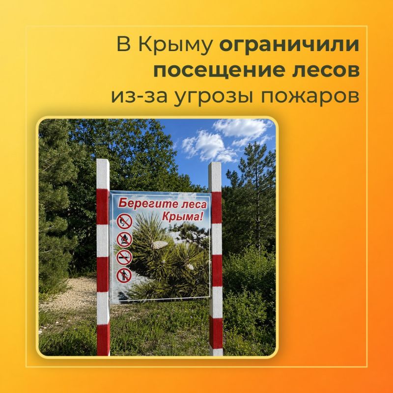 Валентина Биджакова: В Крыму вводится ограничение пребывания граждан в лесах и въезда в них транспортных средств