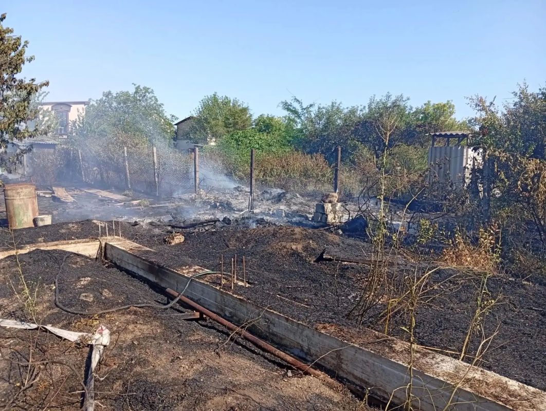 Пожар начинается с травинки Пожар начинается с травинки