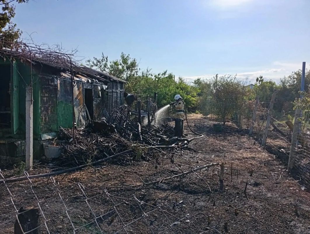Пожар начинается с травинки