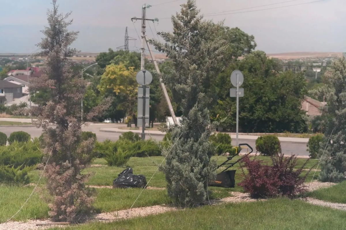 Служба городского хозяйства продолжает уход за зелеными зонами города Служба городского хозяйства продолжает уход за зелеными зонами города
