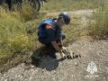 В Крыму уничтожили 14 боеприпасов времен Великой Отечественной войны