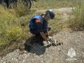 В Крыму уничтожили 14 взрывоопасных предметов времён Великой Отечественной войны