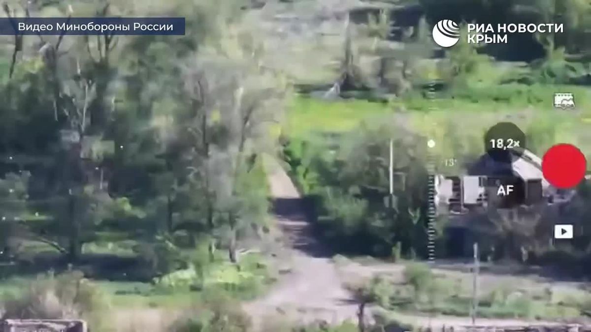 Ульяновские десантники сбросили листовки с призывом сложить оружие на вражеские позиции