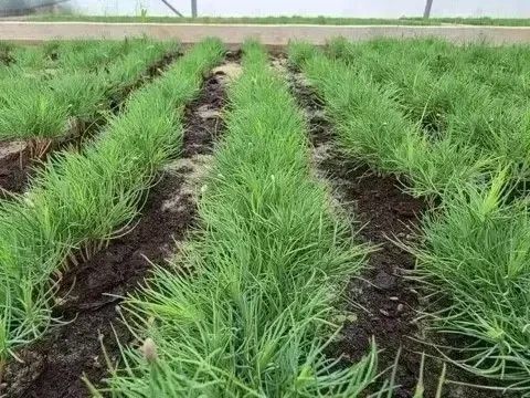 Крымское лесоохотничье хозяйство - главные цифры за первое полугодие 2026 года Крымское лесоохотничье хозяйство - главные цифры за первое полугодие 2026 года