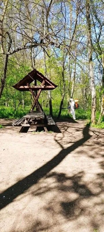 Пролетела не только половина лета, но и половина 2026-го года! Пролетела не только половина лета, но и половина 2026-го года!