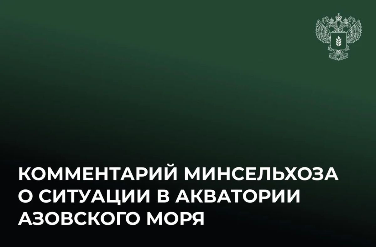 Ситуация в акватории Азовского моря не повлияет на обеспеченность внутреннего рынка продовольствием и экспортные возможности нашей страны
