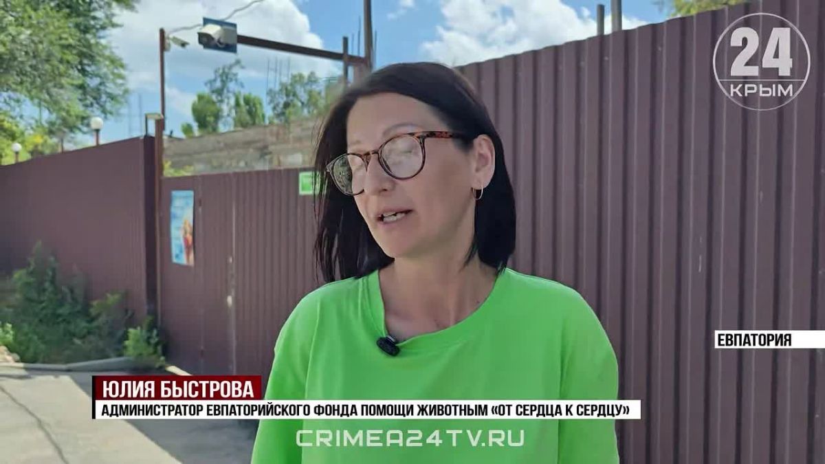Более 700 животных в Евпатории могут пострадать из-за перебоев в работе генераторов