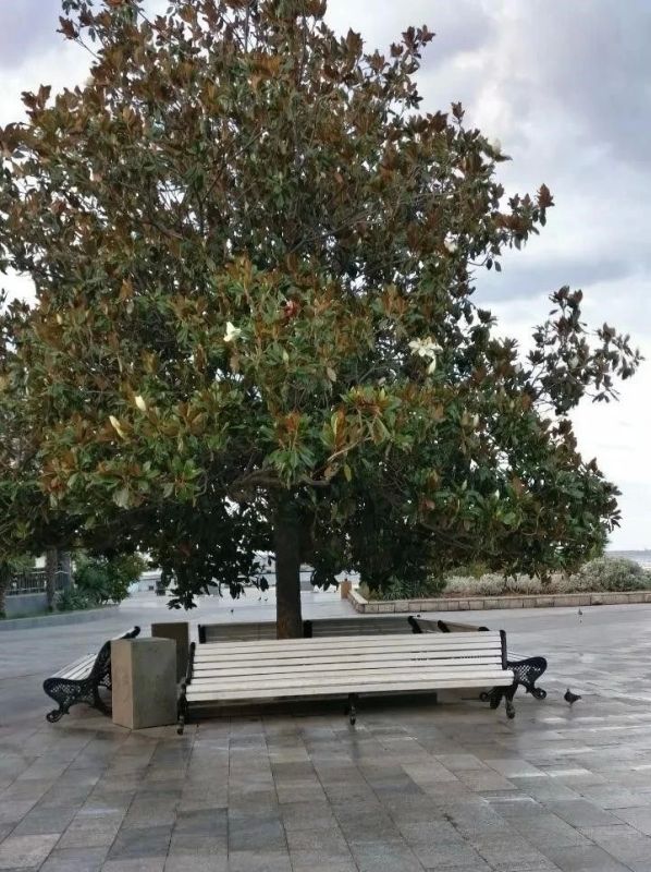 За кулисами чистоты. Чистота нашего города – результат ежедневного труда более 200 сотрудников ялтинского «ДЭУ» За кулисами чистоты. Чистота нашего города – результат ежедневного труда более 200 сотрудников ялтинского «ДЭУ»