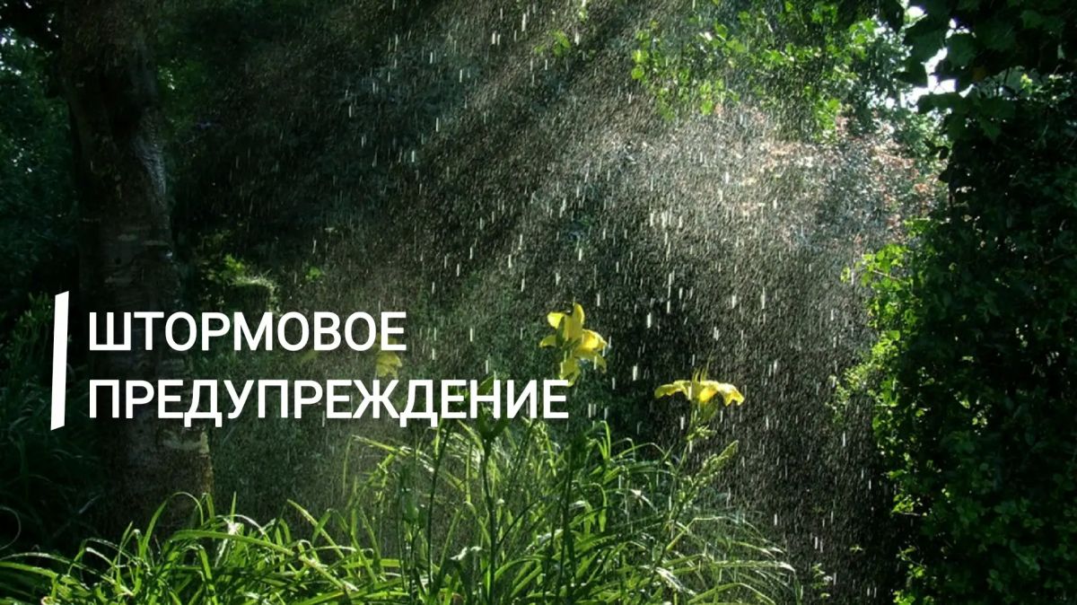 Экстренное предупреждение. По данным Крымского управления по гидрометеорологии и мониторингу окружающей среды днем 14 и 15 июля в Крыму ожидаются местами сильные ливни, грозы, град, при грозе шквалистое усиление ветра 17-22...