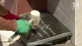 ����������� ��������� ������������ � ������� ����� ����������� �����������