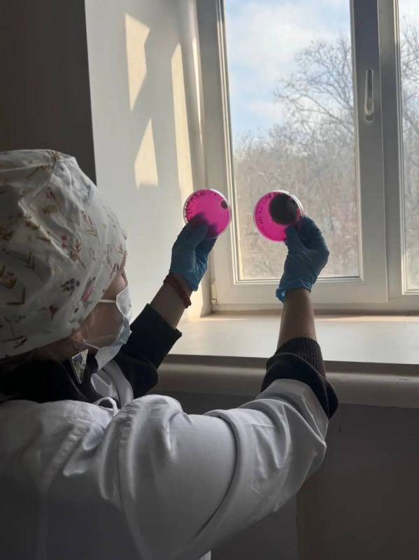 Михаил Развожаев: В севастопольском Институте фундаментальной медицины и здоровьесбережения СевГУ в разгаре приёмная кампания Михаил Развожаев: В севастопольском Институте фундаментальной медицины и здоровьесбережения СевГУ в разгаре приёмная кампания