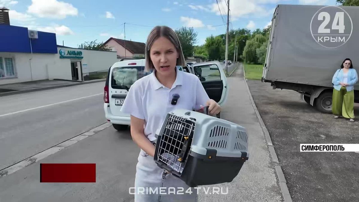 Помощь и двуногим, и четырёхлапым