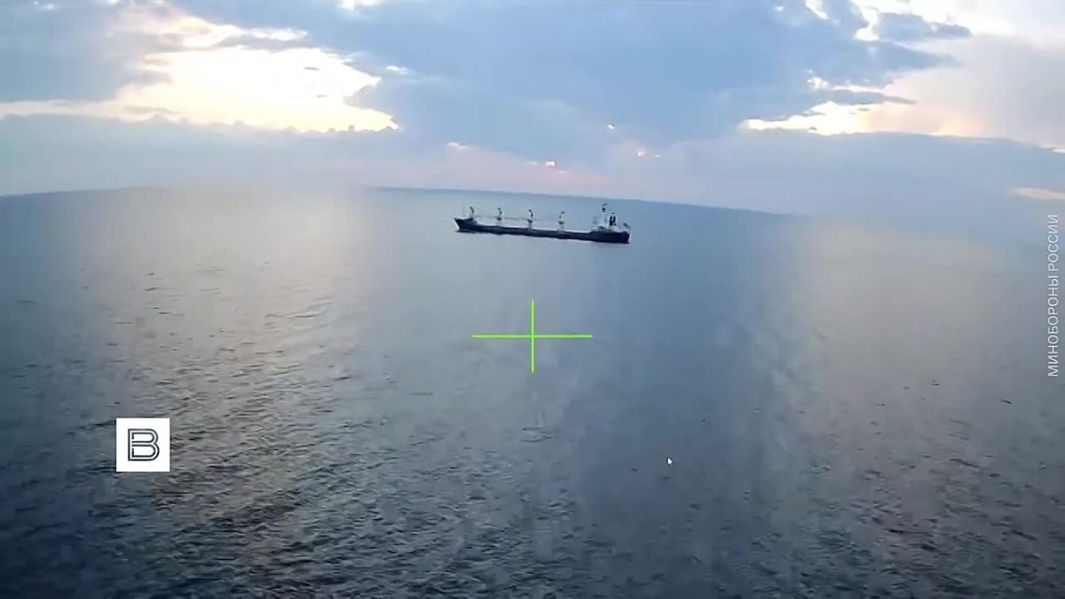 Российские военные поразили "Геранью" сухогруз в Черном море, который доставлял в порт Одесской области военный груз для ВСУ