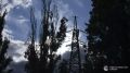 Электроснабжение в некоторых населенных пунктах Крыма частично возобновили после вражеских атак ВСУ на энергообъекты