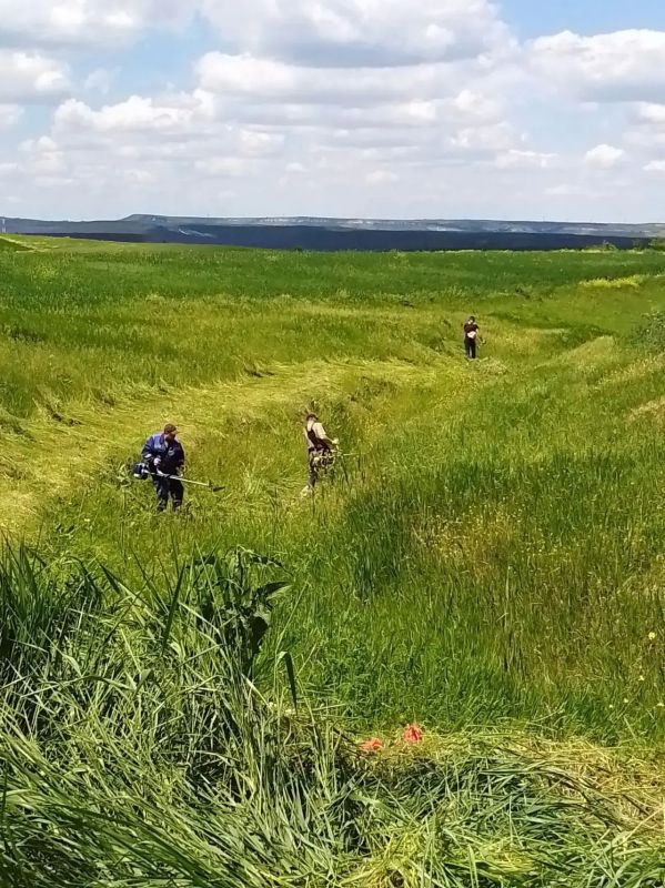 Водохозяйственное учреждение Республики Крым выполняет все необходимые работы - обеспечивается стабильная работа инженерной инфраструктуры государственной мелиоративной сети Водохозяйственное учреждение Республики Крым выполняет все необходимые работы - обеспечивается стабильная работа инженерной инфраструктуры государственной мелиоративной сети
