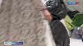На улице Косарева открыли новую точку сбора для бойцов и мирных жителей