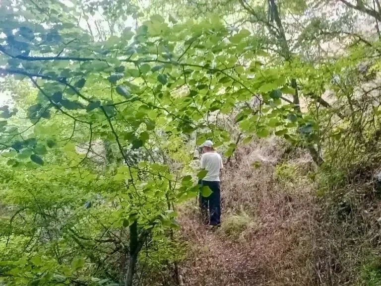 Спасатели вывели с Большой севастопольской тропы заблудившуюся туристку Спасатели вывели с Большой севастопольской тропы заблудившуюся туристку