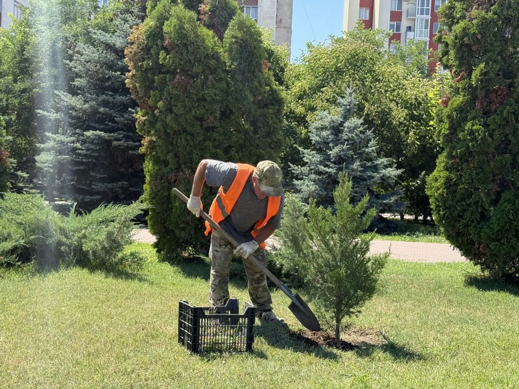 Санитарная очистка территории муниципалитета и уход за растениями – важнейшие задачи, которые ежедневно решают наши коммунальщики Санитарная очистка территории муниципалитета и уход за растениями – важнейшие задачи, которые ежедневно решают наши коммунальщики