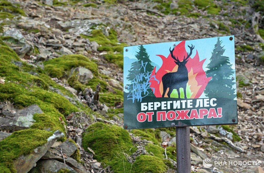 На 21 день ограничат посещение крымских лесов с завтрашнего дня
