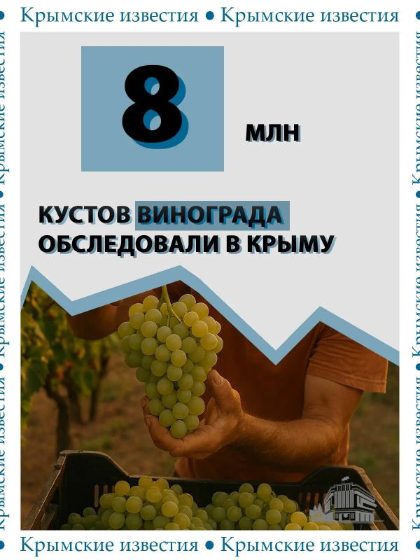 В Крыму и Севастополе проверили около 8 млн кустов винограда